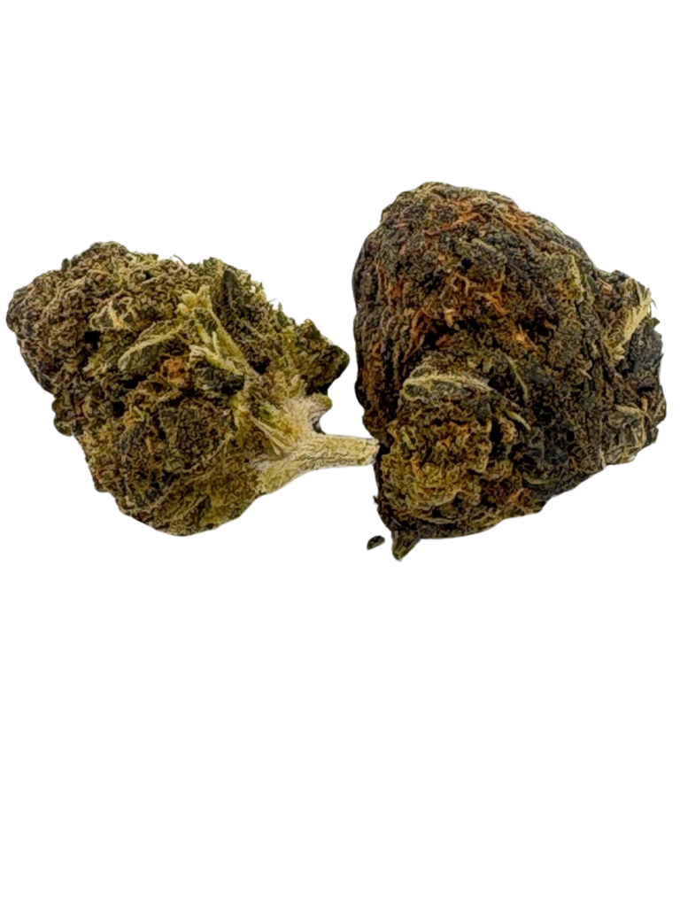 ROCKSTAR (AA+)