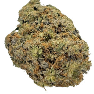 IMPACT MKU (AAAA)🔥