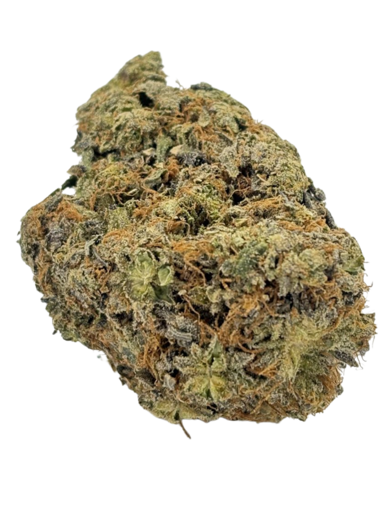 IMPACT MKU (AAAA)🔥