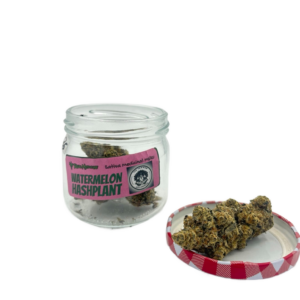 WATERMELON HASHPLANT (PW)