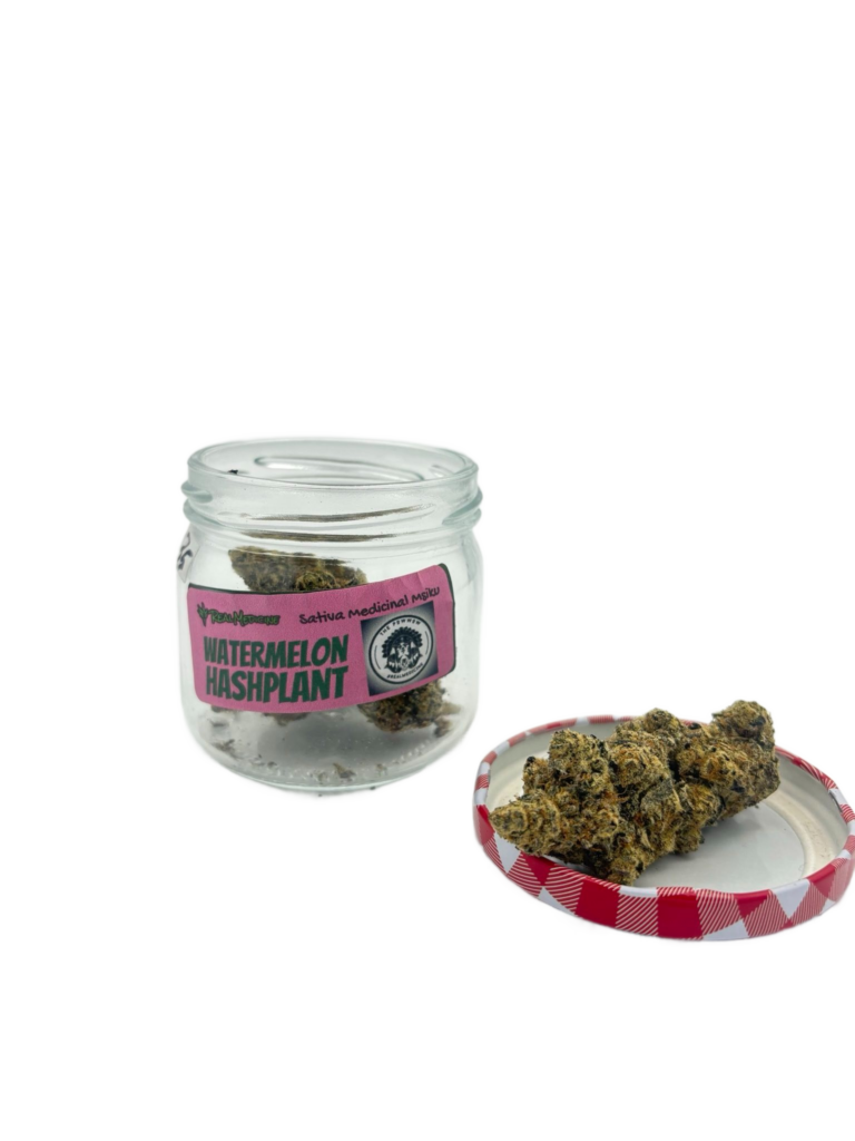 WATERMELON HASHPLANT (PW)
