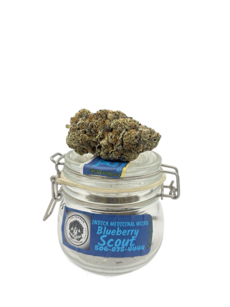 BLUEBERRY SCOUT (PW)