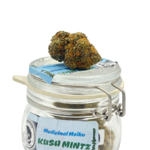 KUSH MINTZ (PW)