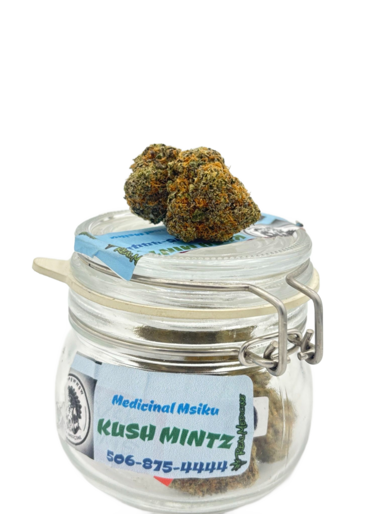 KUSH MINTZ (PW)