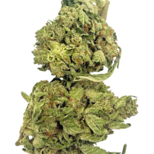 TANGIE COOKIES (AA+)